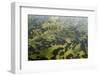 Africa, Ethiopian Highlands, Western Amhara-Ellen Goff-Framed Photographic Print