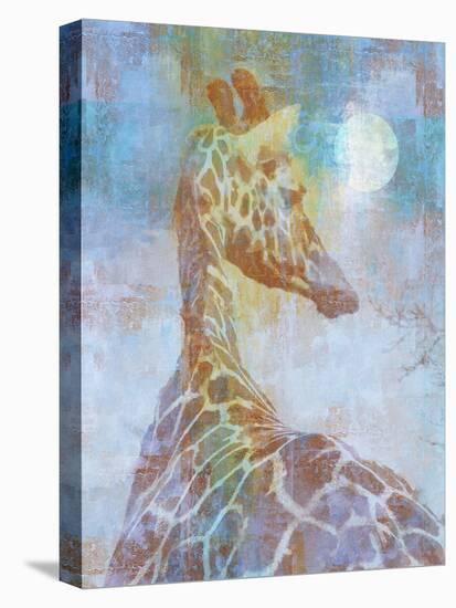 Africa Giraffe-Greg Simanson-Stretched Canvas