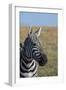 Africa, Kenya, Laikipia Plateau, Ol Pejeta Conservancy. Bruchell's zebra (Equus burchellii).-Cindy Miller Hopkins-Framed Photographic Print