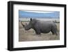 Africa, Kenya, Laikipia Plateau, Ol Pejeta Conservancy. Southern white rhinocero-Cindy Miller Hopkins-Framed Photographic Print