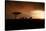 Africa, Kenya, Maasai Mara, elephants walking at sunset-Hollice Looney-Stretched Canvas