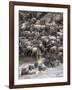 Africa, Kenya, Maasai Mara, wildebeest crossing the Mara River during the migration-Hollice Looney-Framed Photographic Print