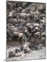 Africa, Kenya, Maasai Mara, wildebeest crossing the Mara River during the migration-Hollice Looney-Mounted Photographic Print