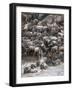 Africa, Kenya, Maasai Mara, wildebeest crossing the Mara River during the migration-Hollice Looney-Framed Photographic Print