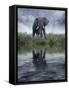 Africa, Kenya, Masai Mara Game Reserve. Composite of Elephant Reflecting in Water-Jaynes Gallery-Framed Stretched Canvas