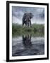 Africa, Kenya, Masai Mara Game Reserve. Composite of Elephant Reflecting in Water-Jaynes Gallery-Framed Photographic Print