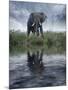 Africa, Kenya, Masai Mara Game Reserve. Composite of Elephant Reflecting in Water-Jaynes Gallery-Mounted Photographic Print