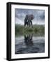 Africa, Kenya, Masai Mara Game Reserve. Composite of Elephant Reflecting in Water-Jaynes Gallery-Framed Photographic Print