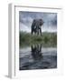 Africa, Kenya, Masai Mara Game Reserve. Composite of Elephant Reflecting in Water-Jaynes Gallery-Framed Photographic Print