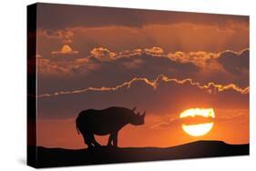 Africa, Kenya, Masai Mara Game Reserve. Composite of White Rhino Silhouette and Sunset-Jaynes Gallery-Stretched Canvas