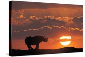 Africa, Kenya, Masai Mara Game Reserve. Composite of White Rhino Silhouette and Sunset-Jaynes Gallery-Stretched Canvas