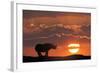 Africa, Kenya, Masai Mara Game Reserve. Composite of White Rhino Silhouette and Sunset-Jaynes Gallery-Framed Photographic Print