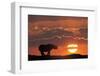 Africa, Kenya, Masai Mara Game Reserve. Composite of White Rhino Silhouette and Sunset-Jaynes Gallery-Framed Photographic Print