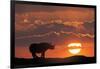 Africa, Kenya, Masai Mara Game Reserve. Composite of White Rhino Silhouette and Sunset-Jaynes Gallery-Framed Photographic Print