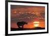 Africa, Kenya, Masai Mara Game Reserve. Composite of White Rhino Silhouette and Sunset-Jaynes Gallery-Framed Photographic Print