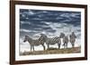 Africa, Kenya, Masai Mara National Reserve. Group of zebras on ridge.-Jaynes Gallery-Framed Photographic Print