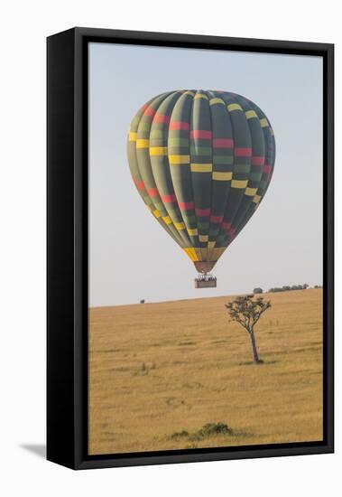 Africa, Kenya, Masai Mara National Reserve. Hot air balloon over savannah.-Emily Wilson-Framed Stretched Canvas