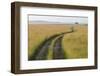 Africa, Kenya, Masai Mara National Reserve. Savannah with tire tracks.-Emily Wilson-Framed Photographic Print