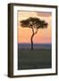 Africa, Kenya, Masai Mara National Reserve. Sunset over tree.-Emily Wilson-Framed Photographic Print