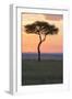 Africa, Kenya, Masai Mara National Reserve. Sunset over tree.-Emily Wilson-Framed Photographic Print