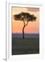 Africa, Kenya, Masai Mara National Reserve. Sunset over tree.-Emily Wilson-Framed Premium Photographic Print