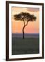 Africa, Kenya, Masai Mara National Reserve. Sunset over tree.-Emily Wilson-Framed Premium Photographic Print