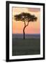 Africa, Kenya, Masai Mara National Reserve. Sunset over tree.-Emily Wilson-Framed Premium Photographic Print