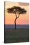 Africa, Kenya, Masai Mara National Reserve. Sunset over tree.-Emily Wilson-Stretched Canvas