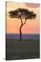 Africa, Kenya, Masai Mara National Reserve. Sunset over tree.-Emily Wilson-Stretched Canvas