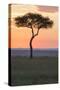 Africa, Kenya, Masai Mara National Reserve. Sunset over tree.-Emily Wilson-Stretched Canvas