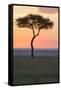 Africa, Kenya, Masai Mara National Reserve. Sunset over tree.-Emily Wilson-Framed Stretched Canvas