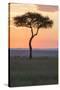 Africa, Kenya, Masai Mara National Reserve. Sunset over tree.-Emily Wilson-Stretched Canvas