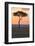 Africa, Kenya, Masai Mara National Reserve. Sunset over tree.-Emily Wilson-Framed Photographic Print