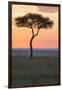 Africa, Kenya, Masai Mara National Reserve. Sunset over tree.-Emily Wilson-Framed Photographic Print