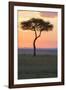 Africa, Kenya, Masai Mara National Reserve. Sunset over tree.-Emily Wilson-Framed Photographic Print