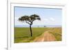 Africa, Kenya, Masai Mara National Reserve.-Emily Wilson-Framed Premium Photographic Print