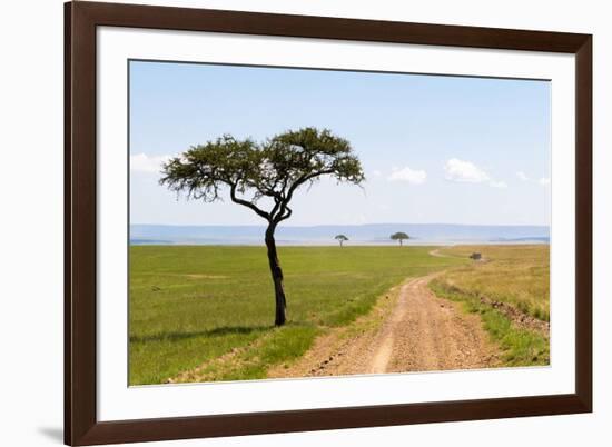 Africa, Kenya, Masai Mara National Reserve.-Emily Wilson-Framed Premium Photographic Print