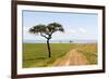 Africa, Kenya, Masai Mara National Reserve.-Emily Wilson-Framed Premium Photographic Print