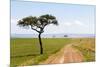 Africa, Kenya, Masai Mara National Reserve.-Emily Wilson-Mounted Premium Photographic Print