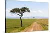 Africa, Kenya, Masai Mara National Reserve.-Emily Wilson-Stretched Canvas