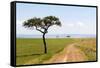 Africa, Kenya, Masai Mara National Reserve.-Emily Wilson-Framed Stretched Canvas