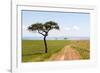 Africa, Kenya, Masai Mara National Reserve.-Emily Wilson-Framed Photographic Print