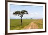 Africa, Kenya, Masai Mara National Reserve.-Emily Wilson-Framed Photographic Print