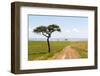 Africa, Kenya, Masai Mara National Reserve.-Emily Wilson-Framed Photographic Print