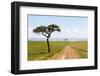 Africa, Kenya, Masai Mara National Reserve.-Emily Wilson-Framed Photographic Print