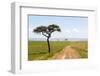 Africa, Kenya, Masai Mara National Reserve.-Emily Wilson-Framed Photographic Print