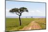 Africa, Kenya, Masai Mara National Reserve.-Emily Wilson-Mounted Photographic Print