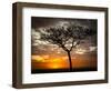 Africa, Kenya, Masai Mara, sunrise-George Theodore-Framed Photographic Print