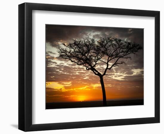 Africa, Kenya, Masai Mara, sunrise-George Theodore-Framed Photographic Print