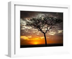 Africa, Kenya, Masai Mara, sunrise-George Theodore-Framed Photographic Print